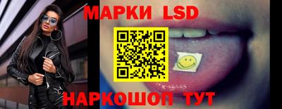 PSILOCYBIN Гатчина
