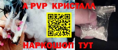 PSILOCYBIN Гатчина